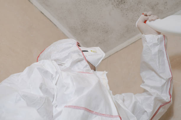 Best Asbestos and Lead Testing During Mold Inspection  in Billings, MT